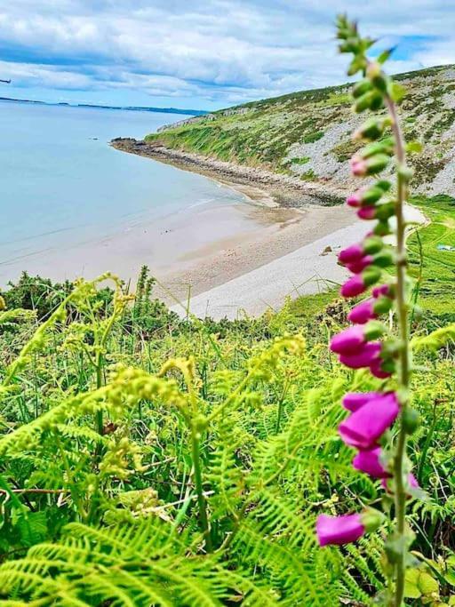 The Mermaids Watch Pendine Dog Friendly Appartement Buitenkant foto